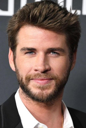 Liam Hemsworth portrait
