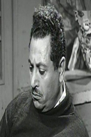 Ali ElMoaawen portrait
