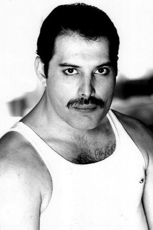 Freddie Mercury portrait
