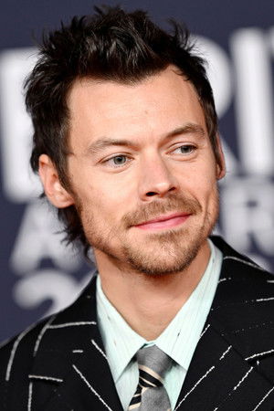 Harry Styles portrait