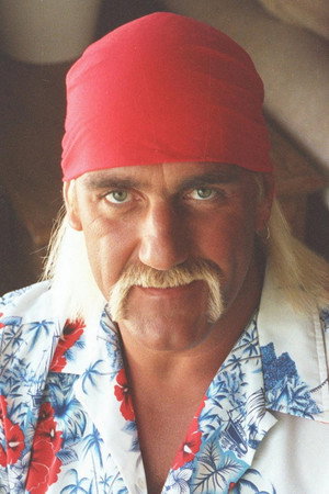 Hulk Hogan portrait