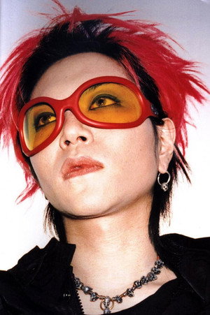 hide portrait