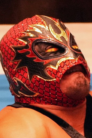 Hechicero portrait