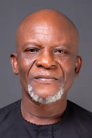 Toyin Oshinaike portrait
