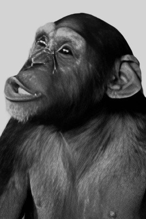 Tamba portrait
