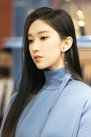 Liu Lingzi portrait