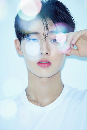 Choi Hyun-wook portrait