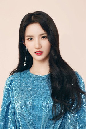 Liu Xiening portrait