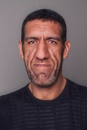 Seyithan Özdemir portrait