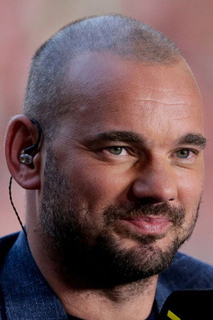 Wesley Sneijder portrait