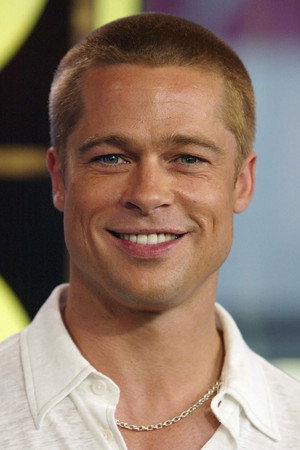 Brad Pitt portrait