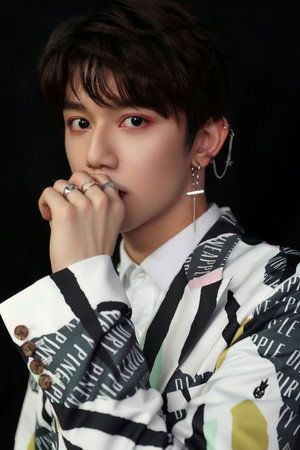 Lai Zongying portrait