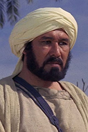 Hamdy Ghaith portrait