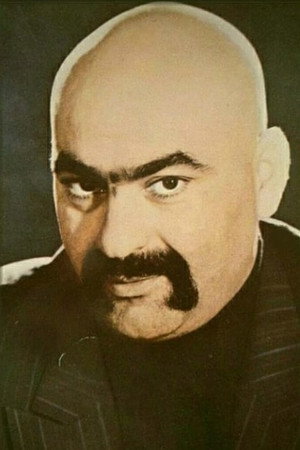 Mohsen Arasteh portrait