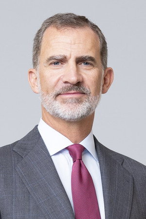 Felipe VI portrait