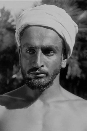 Siko Palavandishvili portrait