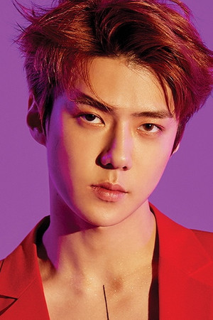Sehun portrait