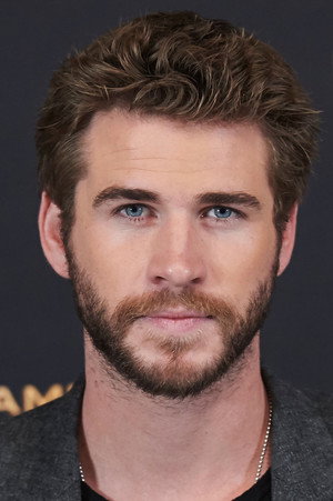 Liam Hemsworth portrait