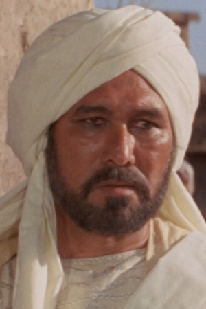 Hamdy Ghaith portrait