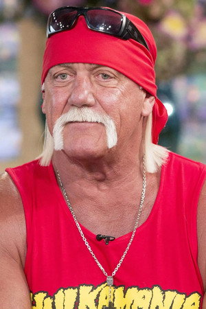 Hulk Hogan portrait