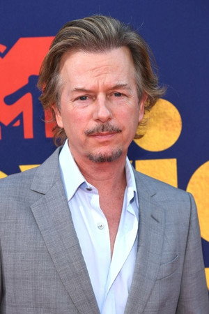 David Spade portrait