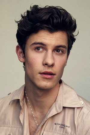Shawn Mendes portrait