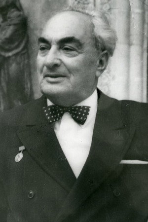 Vaso Godziashvili portrait