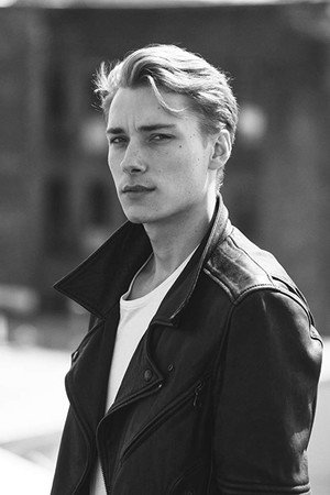 Niclas Gillis portrait