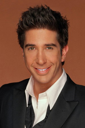 David Schwimmer portrait