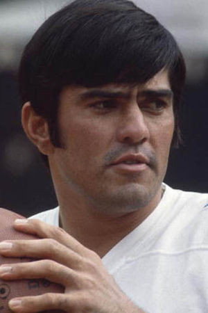 Roman Gabriel portrait