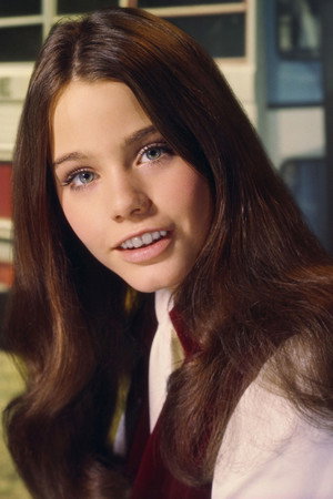 Susan Dey portrait