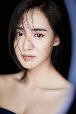Wang Zhi portrait