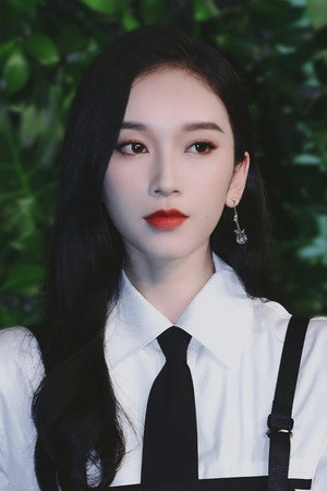 Liu Lingzi portrait