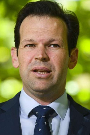 Matt Canavan portrait