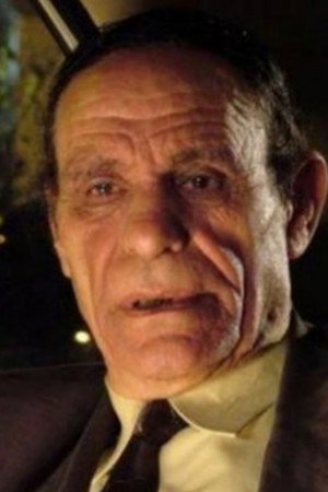 Metwaly Elwan portrait