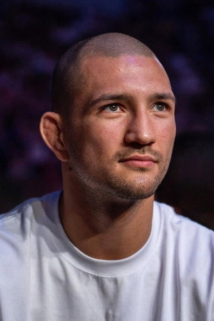 Ronald Paradeiser portrait