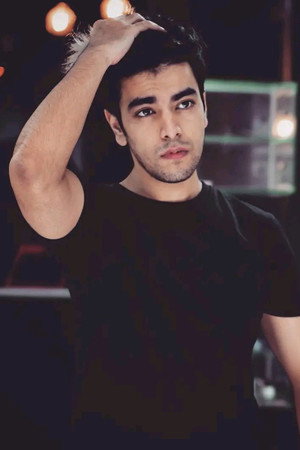 Salman Muqtadir portrait