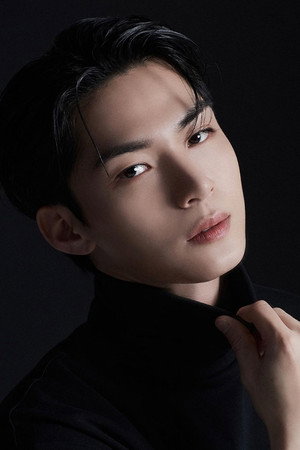 Song Han-gyeom portrait