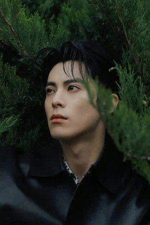 Dylan Wang portrait
