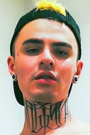 Pantera Chill portrait