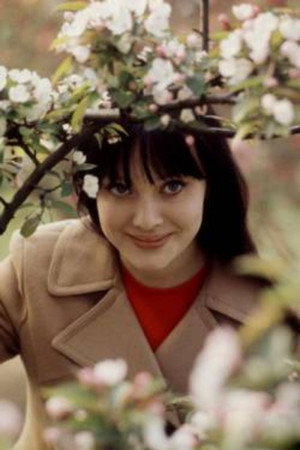 Ludmila Savelyeva portrait
