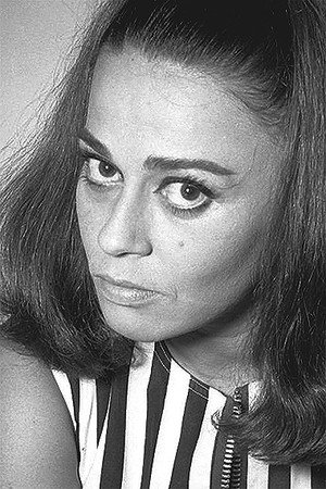 Norma Bengell portrait
