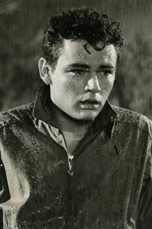 Rod Lauren portrait