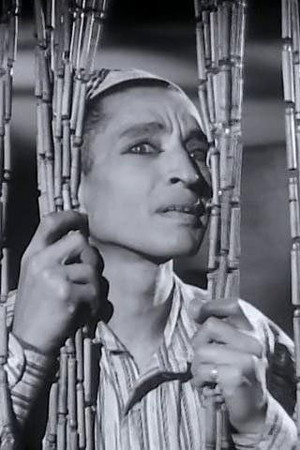 Mounir ElFangary portrait