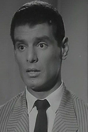 Adel Heikal portrait