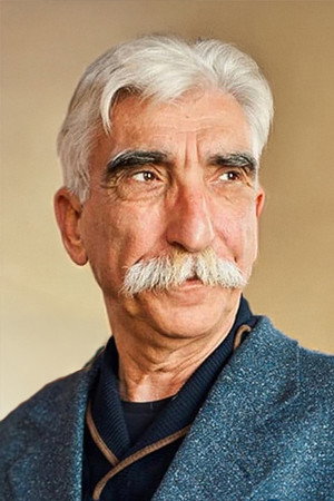 Cezmi Baskın portrait