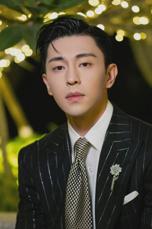 Deng Lun portrait
