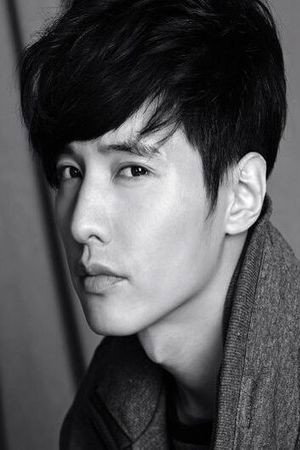 Won Bin portrait