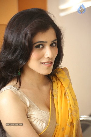 Gazal Somaiah portrait