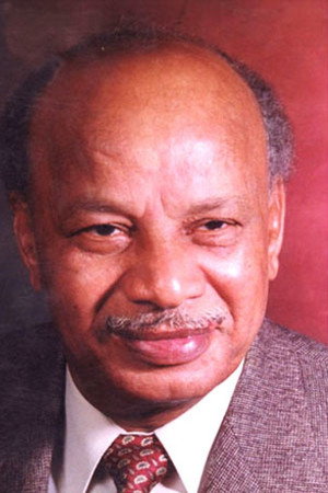 Mohamed ElAdendani portrait